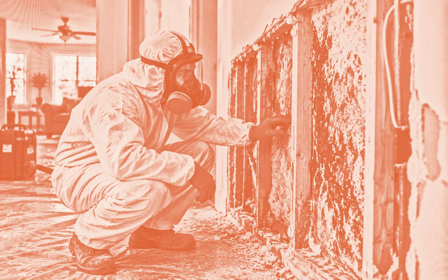 How to Hire a Credible Mold Remediation Company